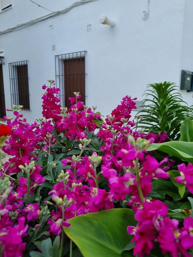 ベヘール・デ・ラ・フロンテーラ Casa Francisca En El Casco Antiguoヴィラ エクステリア 写真