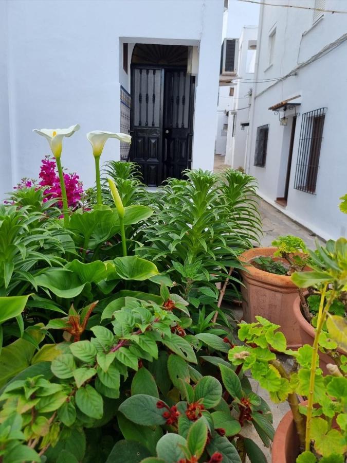 ベヘール・デ・ラ・フロンテーラ Casa Francisca En El Casco Antiguoヴィラ エクステリア 写真